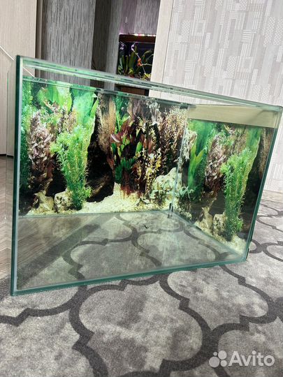 Аквариум 100л