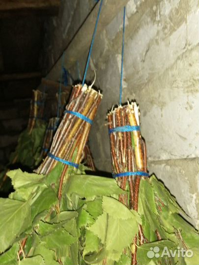 Березовые веники