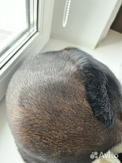 Шапка зимняя норковая женская