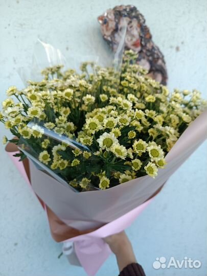 Букеты. Композиции из Ромашки