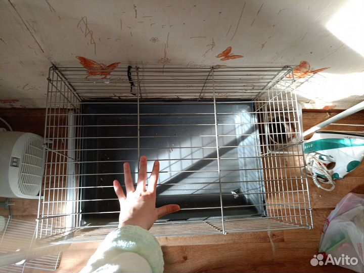 Клетка для кроликаили морской свинке