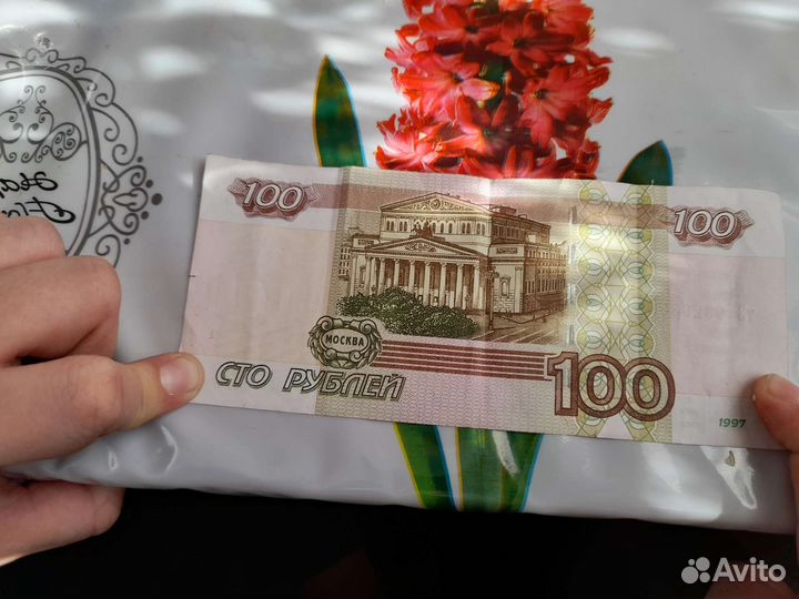 Купюра 100р
