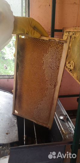 Мёд майский разнотравие гречиха 2023