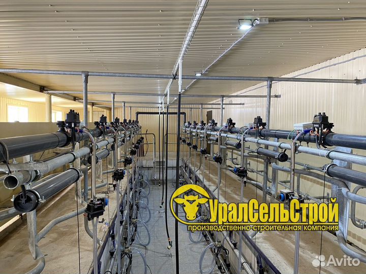 Доильный зал SCR Параллель и Ёлочка