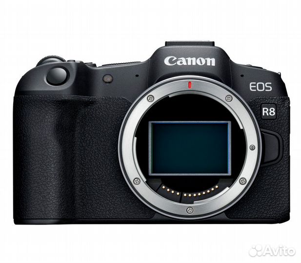Canon EOS R8 Body новый