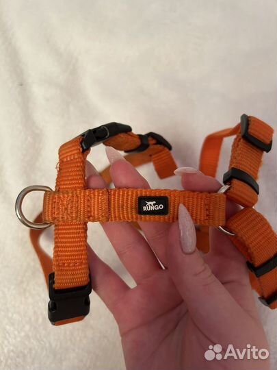 Шлейка для собак