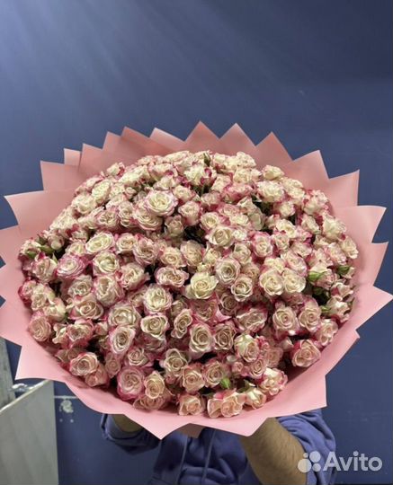 Розы цветы букеты 25 51 101