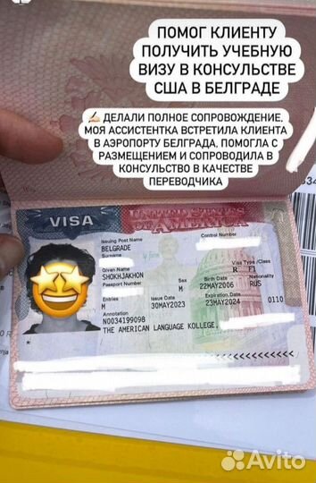 Виза талантов США