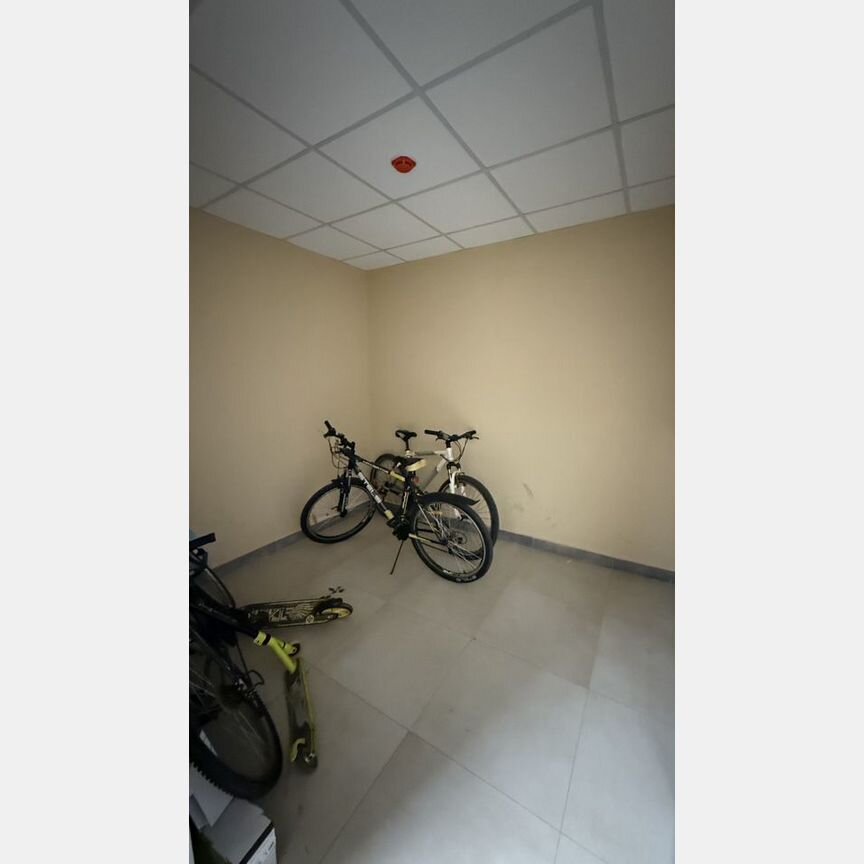 1-к. квартира, 55,6 м², 5/5 эт.