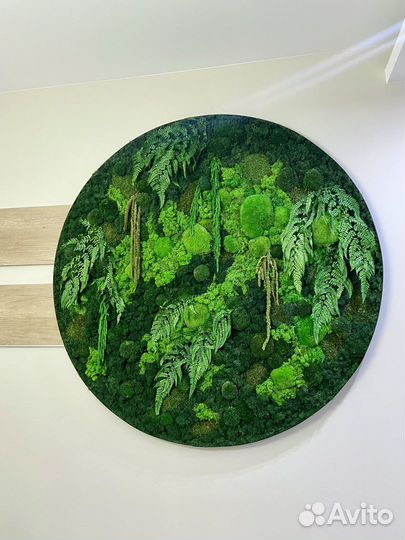 Стабилизированный мох