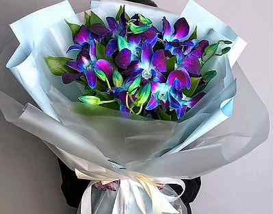 Цветы доставка орхидея синяя Дендробиум Ростов