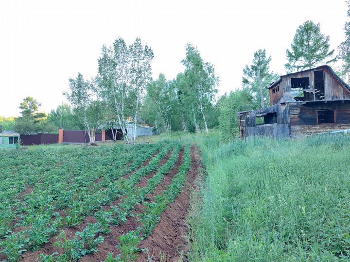 Участок 12 сот. (СНТ, ДНП)