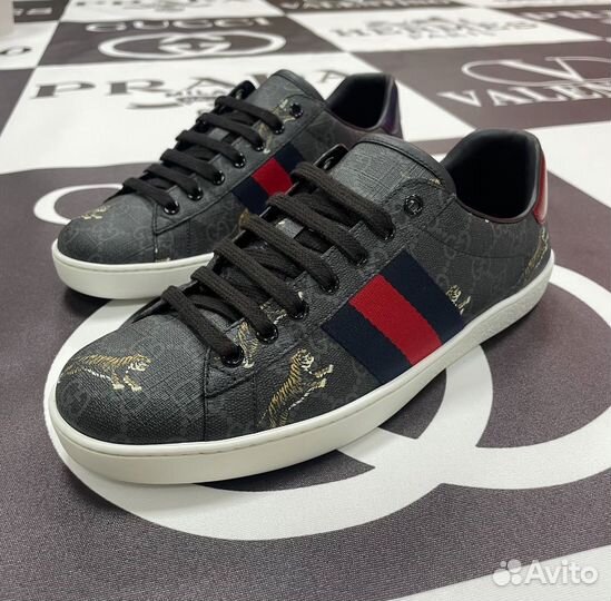 Кеды мужские gucci ace