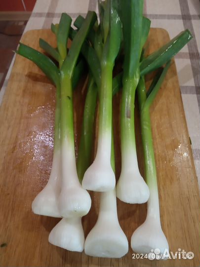 Зелень лука и чеснока с репкой