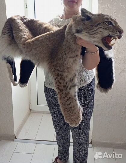 Шкура рыси (имитация)