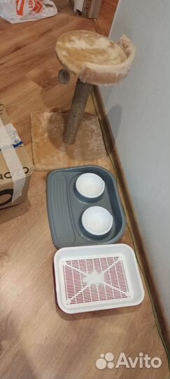 Кошачий набор. Миска, когтеточка, лоток