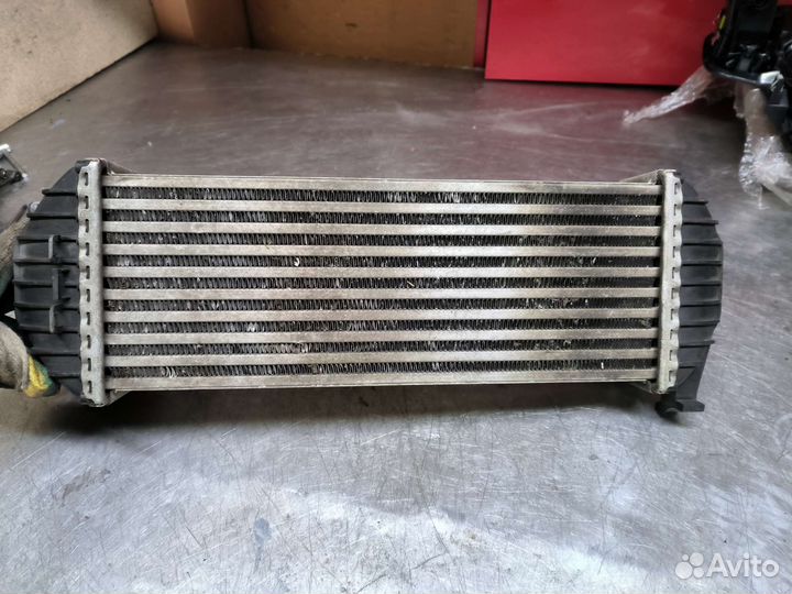 Renault Kangoo 2 интеркулер 1.5dci