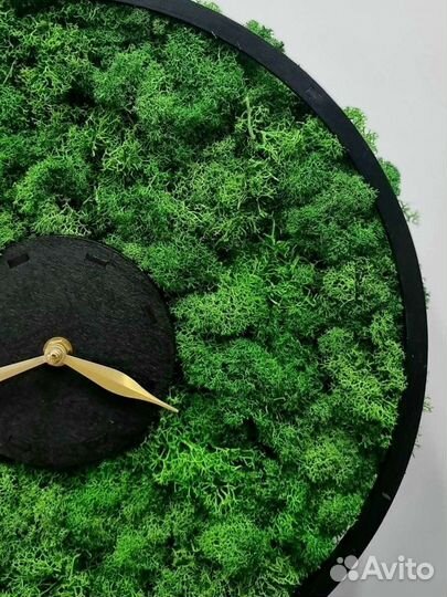 Часы со стабилизированным мхом