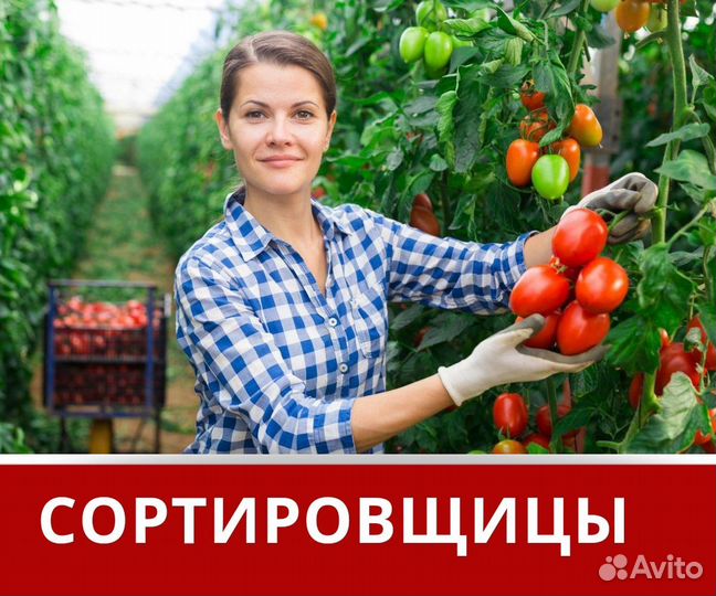 Сортировщицы/Вахта Калуга/Проживание+Питание