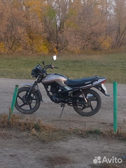 Racer tiger RC150-23