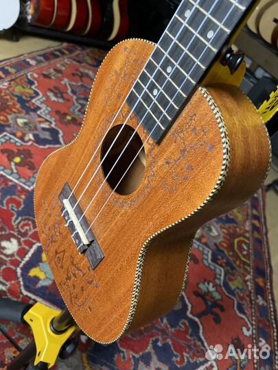 Укулеле концерт Sqoe Комплект