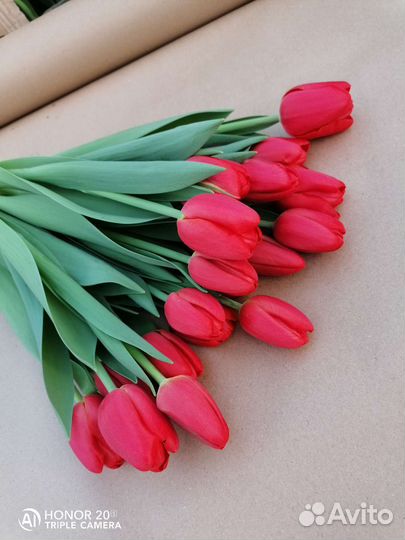 Тюльпаны к 8 марта оптом