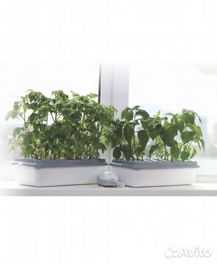 Двойная чудо-грядка