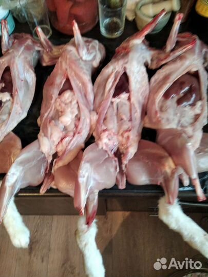 Мясо кролика цена за 1 кг