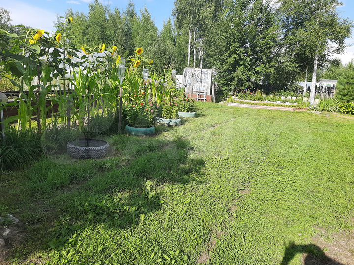 Участок 10 сот. (СНТ, ДНП)