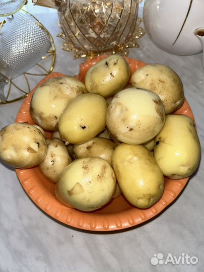 Помидоры домашние