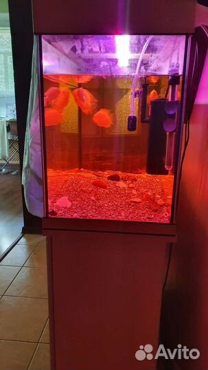 Аквариум с тумбой