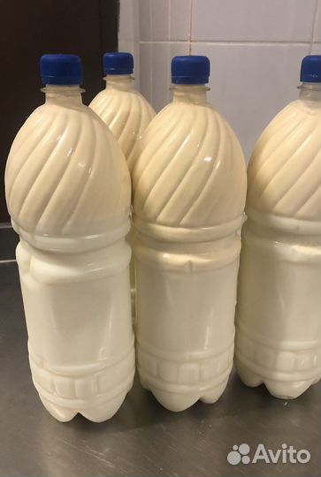 Джерсейская корова, нетель, телка