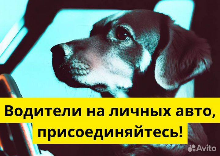 Работа в Yandex.Go: авто курьеры (18+)