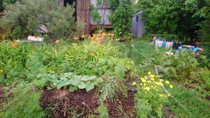 Дача 20 м² на участке 3 сот.