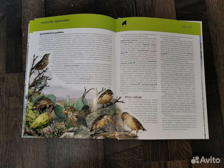 Птицы. Полная энциклопедия/Юлия Школьник