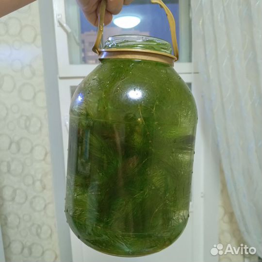 Аквариумные растения