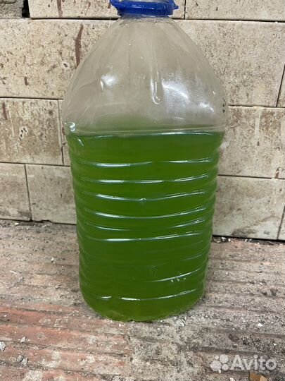 Хлорелла для пруда и водоемов