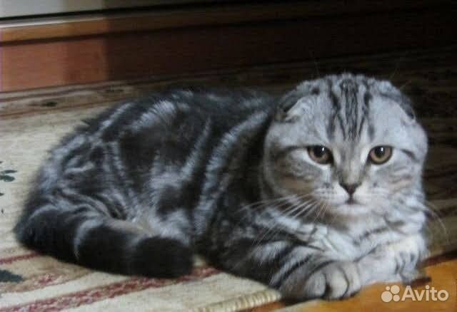 Котик для вязки