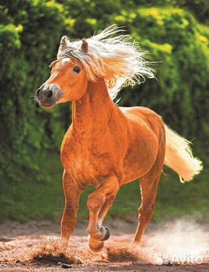 Алмазная мозаика 40x50