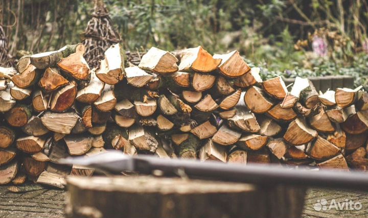Дрова сухостой