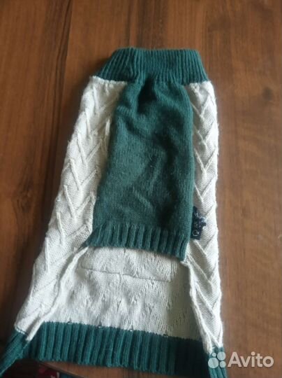 Одежда для животных