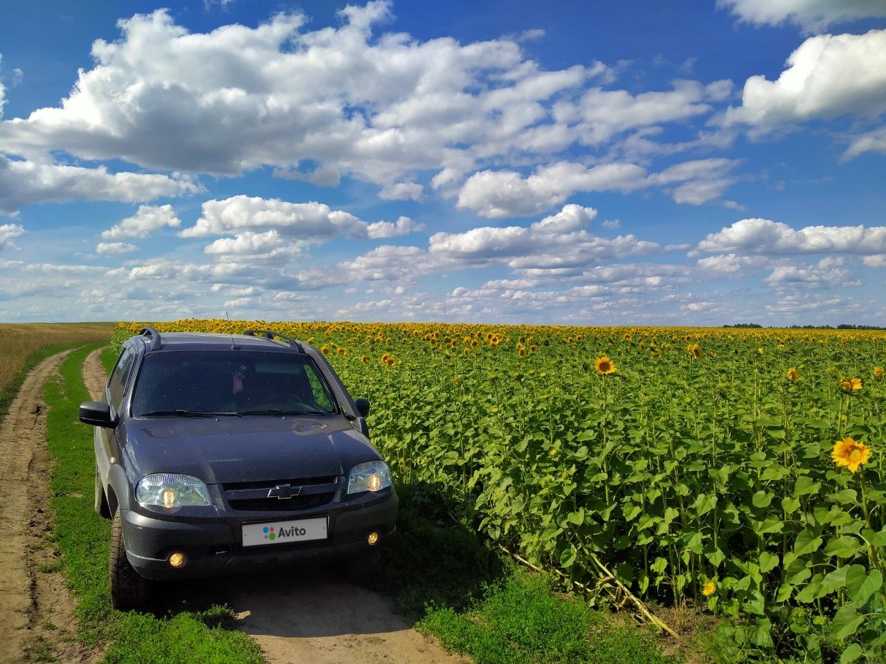 Chevrolet Niva: фото владельца