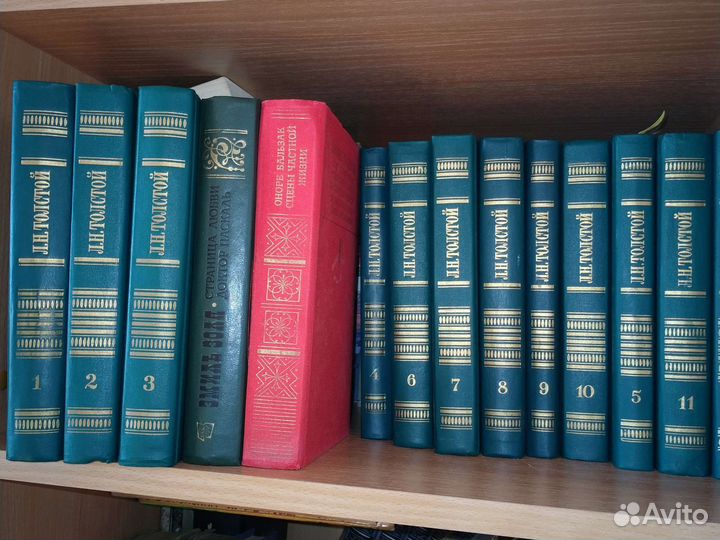 Русско-японский разговорник (Садовая