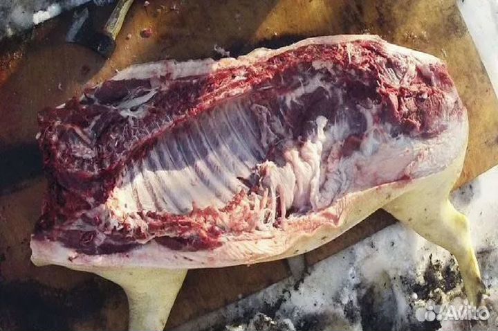 Мясо свинина домашняя