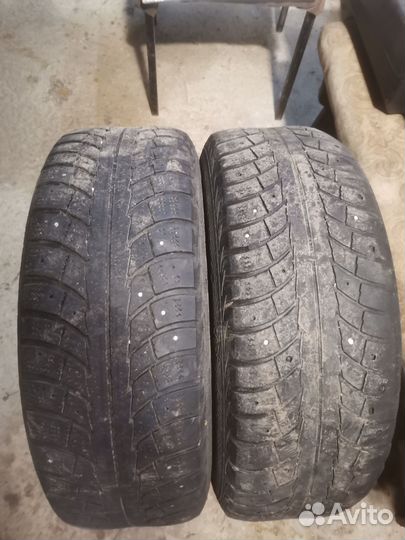 Gislaved Euro Frost 5 195/65 R15