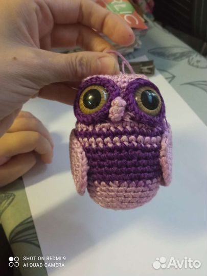 Сова в машину