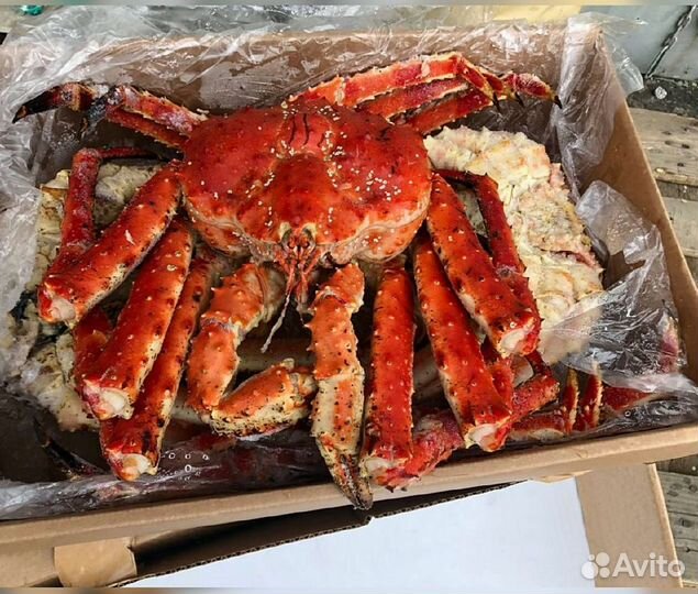 Краб Камчатский