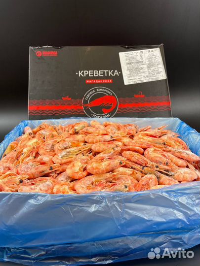 Креветка Магаданская оптом