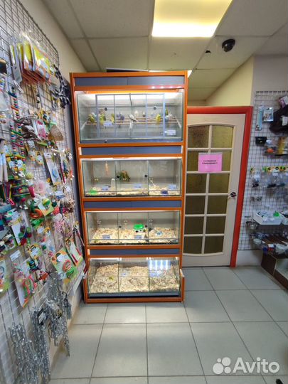 Оборудование для зоомагазина стойка для птиц
