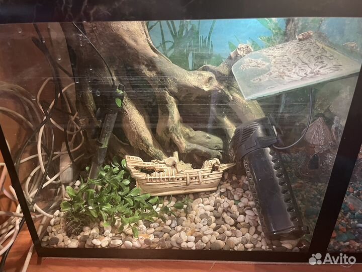 Аквариум двойной объмом 200л для черепах и рыб